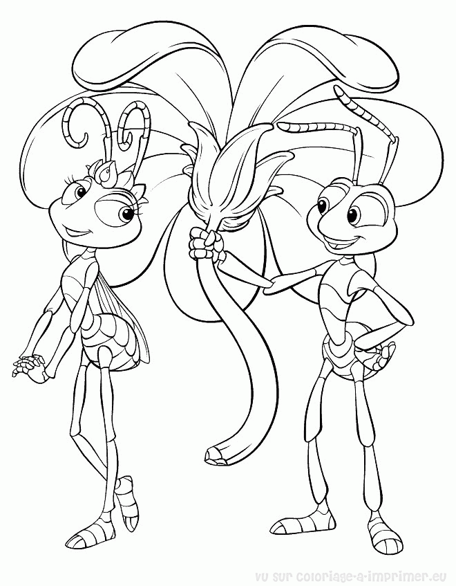 coloriage  dessiner  imprimer 1001 pattes