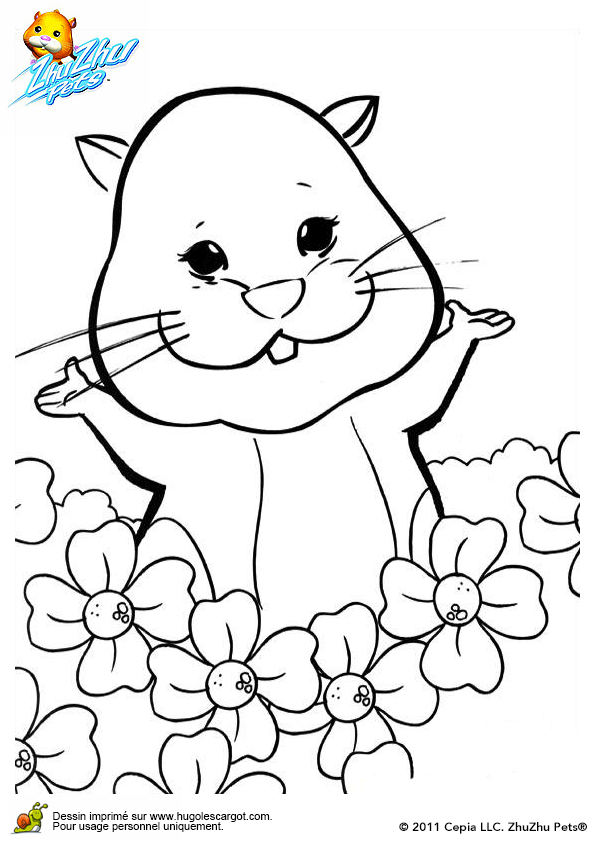8 dessins de coloriage à Imprimer Ariol à imprimer