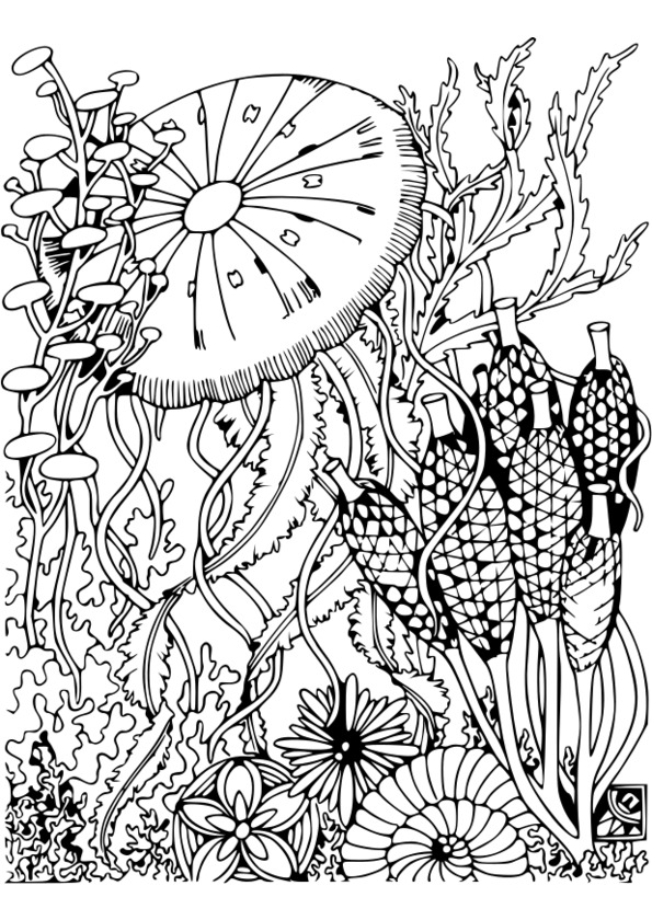 coloriage magique adulte à imprimer