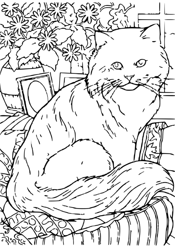 coloriage adulte anti stress animaux