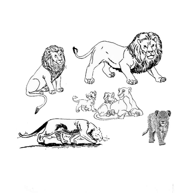coloriage afrique maternelle imprimer