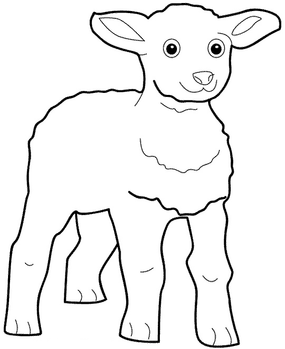coloriage à dessiner a imprimer agneau