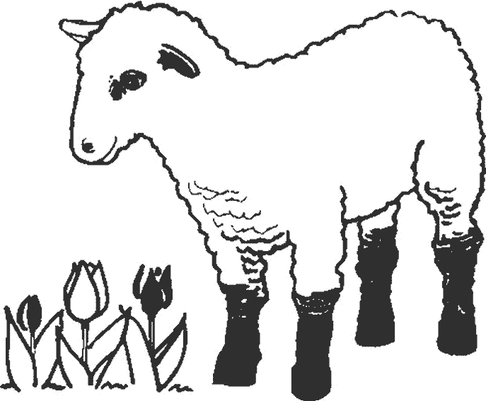 coloriage � dessiner agneau loup