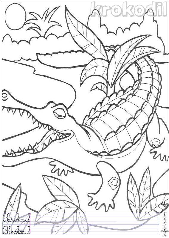 Coloriage Alligator à colorier - Dessin à imprimer dessin alligator imprimer