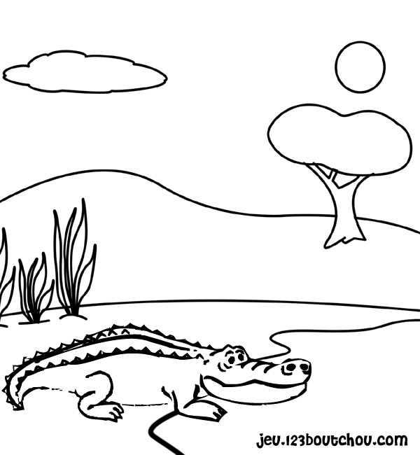coloriage à dessiner alligator en ligne