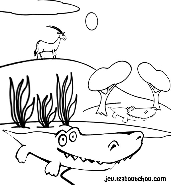 coloriage à imprimer alligator