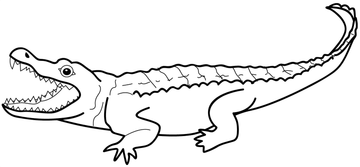 coloriage à dessiner alligator a imprimer