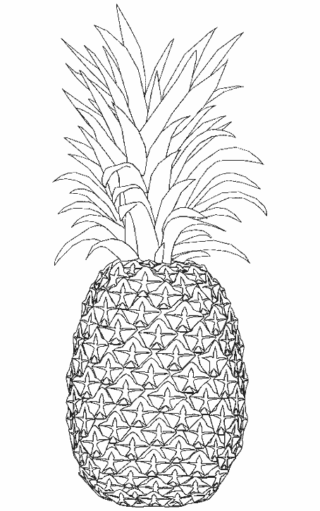 coloriage ananas