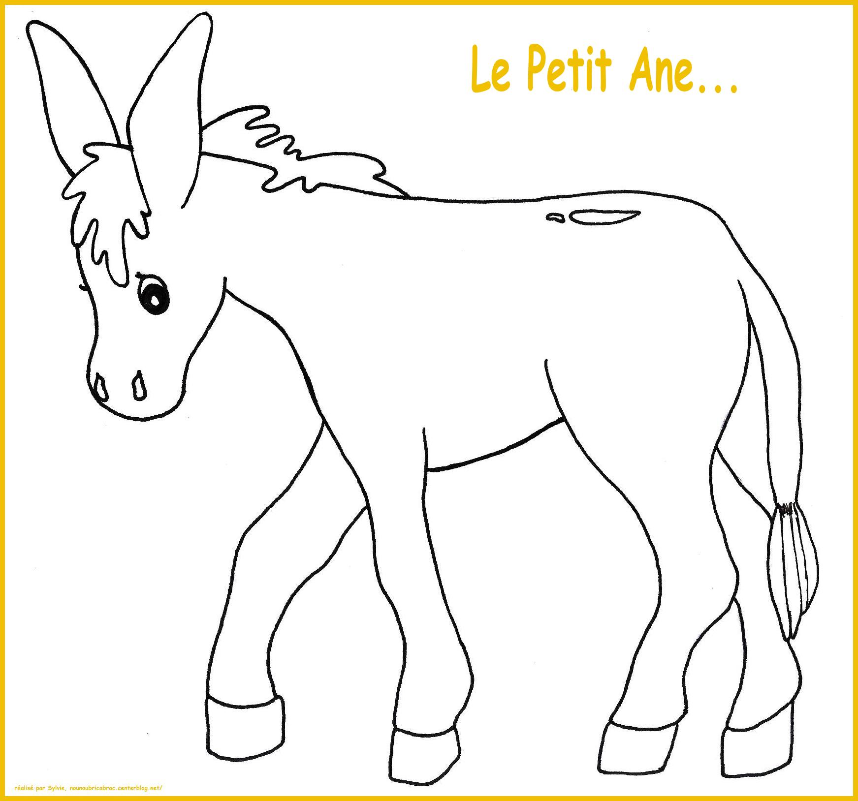 Coq Et Ane Coloriage Facile