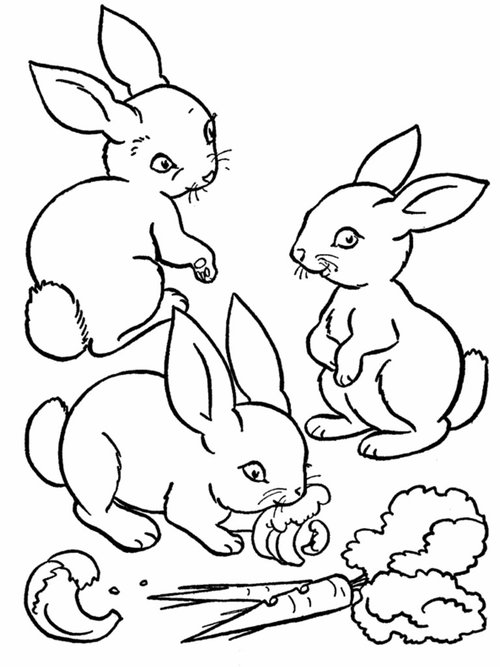 coloriage animaux a imprimer gratuit