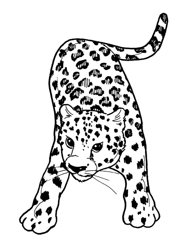 coloriage animaux a imprimer gratuit