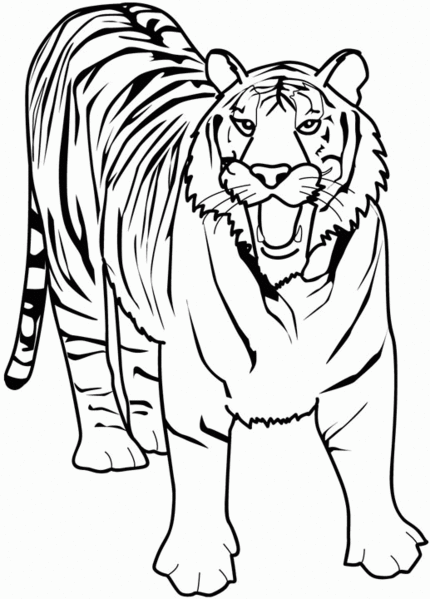 coloriage animaux dafrique