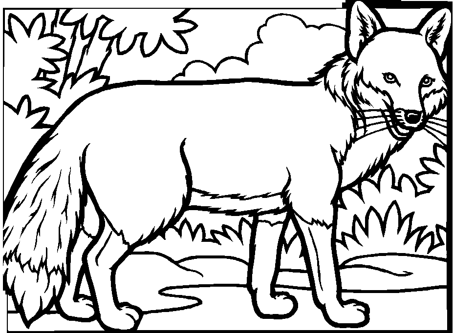 coloriage animaux de la foret