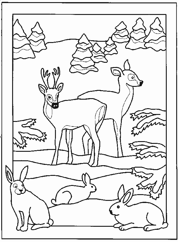 coloriage animaux de la foret