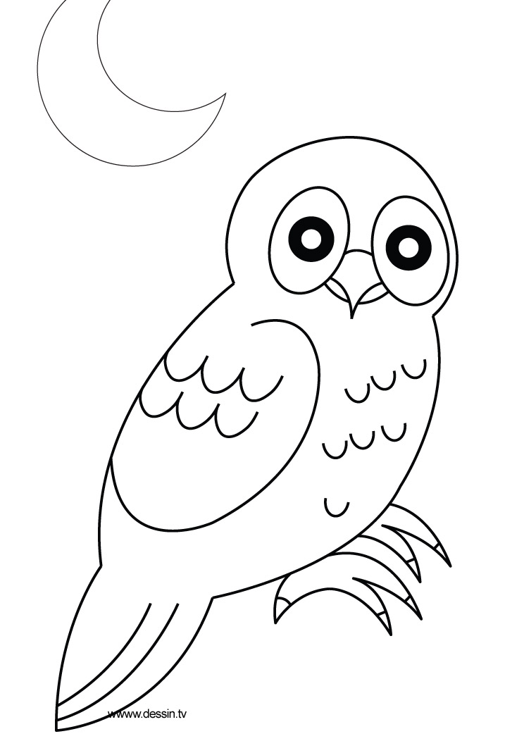 coloriage animaux de la foret