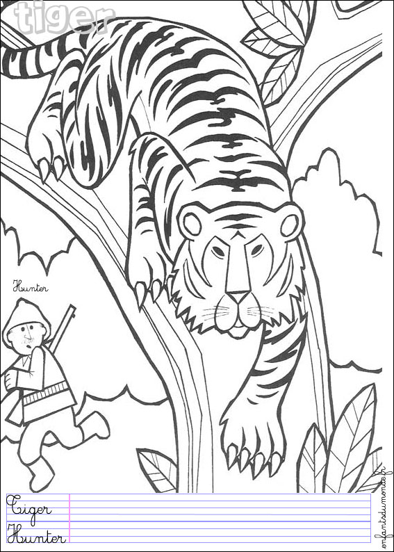 coloriage animaux de la jungle