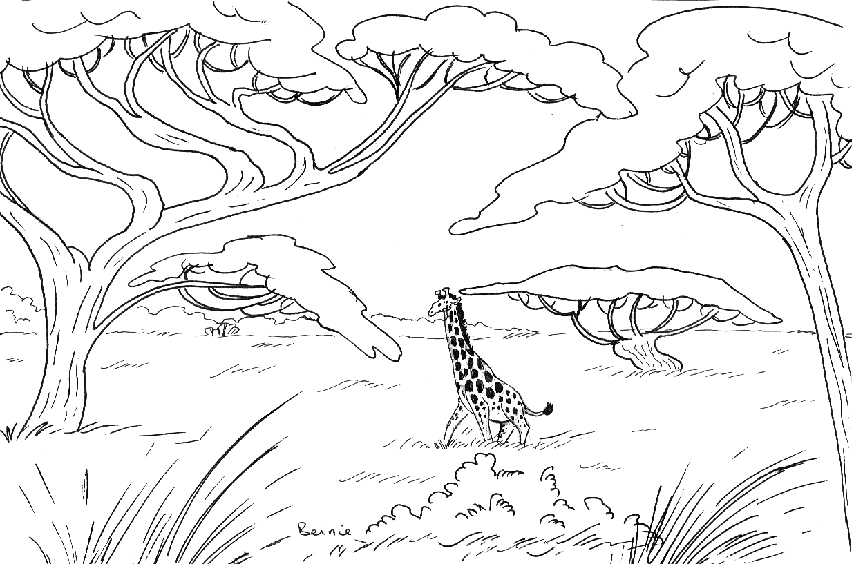 Retour Au Début Coloriage Animaux Savane Singe