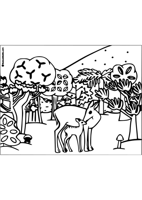 coloriage à imprimer animaux de la savane