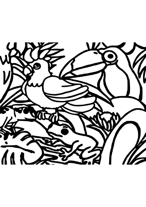 coloriage animaux 3 ans