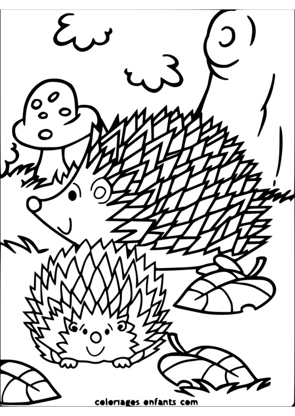 coloriage animaux hamster