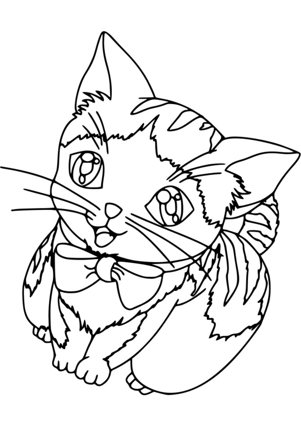 coloriage animaux tv