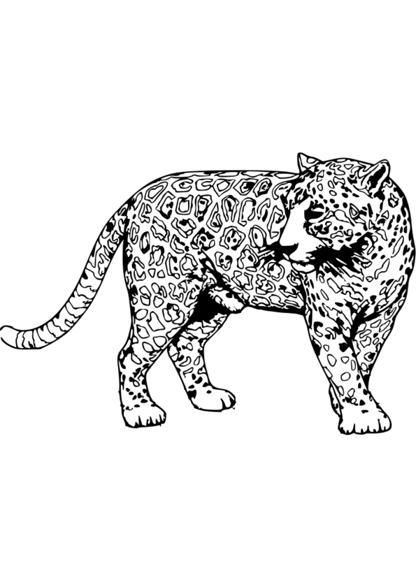 coloriage animaux savane africaine