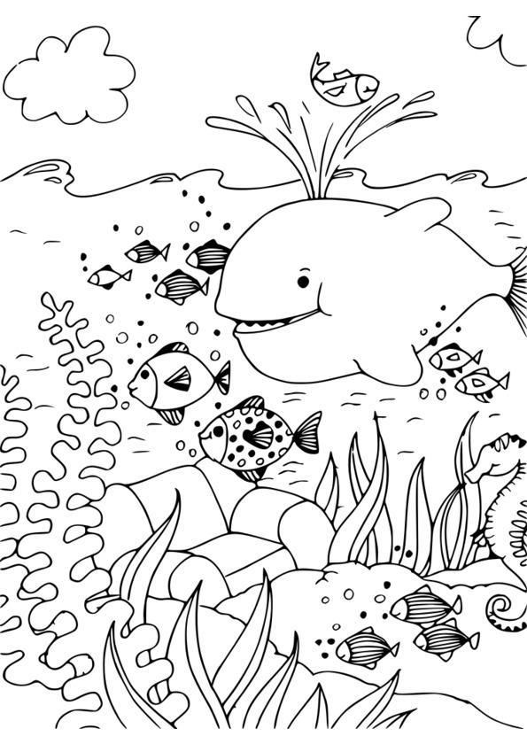 coloriage animal crossing 3ds