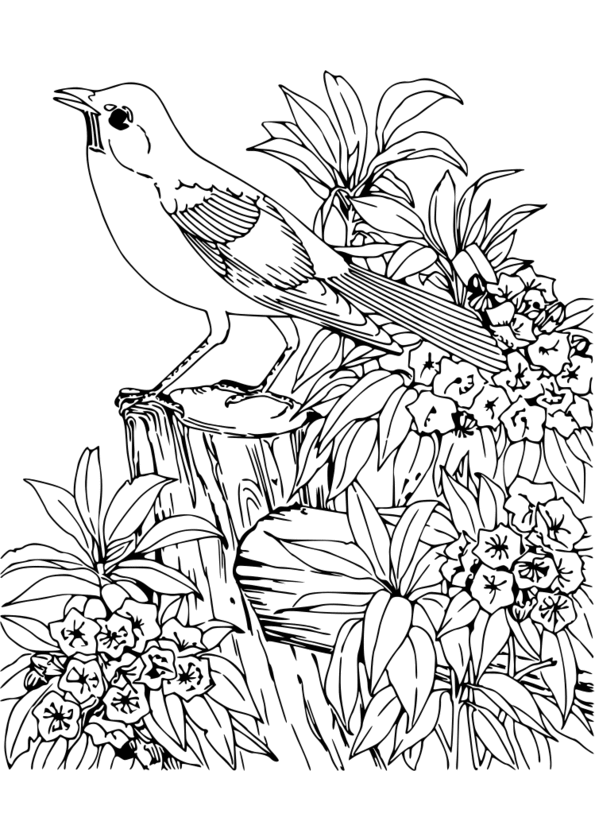 coloriage animaux imprimer gratuit