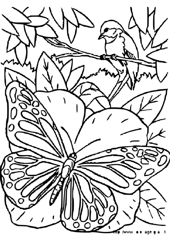 coloriage animaux roule galette