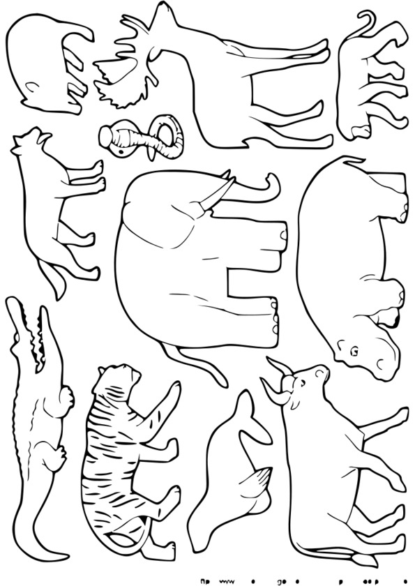 Coloriage à Imprimer Animaux Sauvages