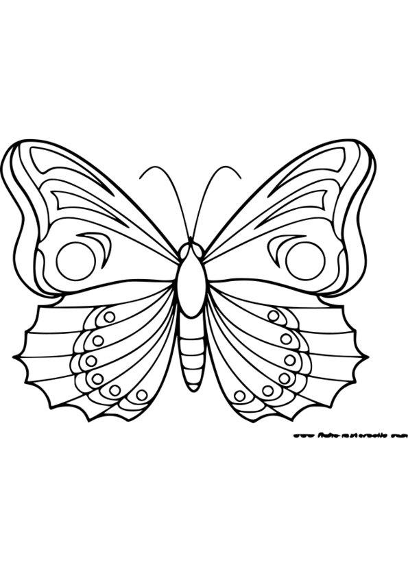 coloriage animaux roule galette