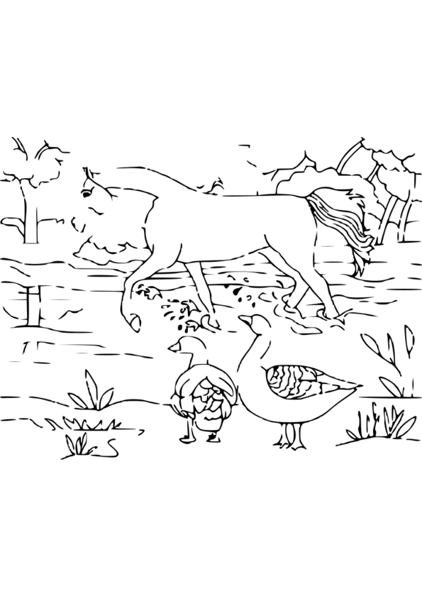 imprimer coloriage animaux de la ferme