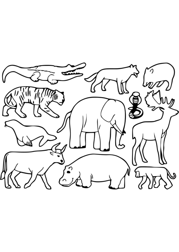 coloriage animaux pdf