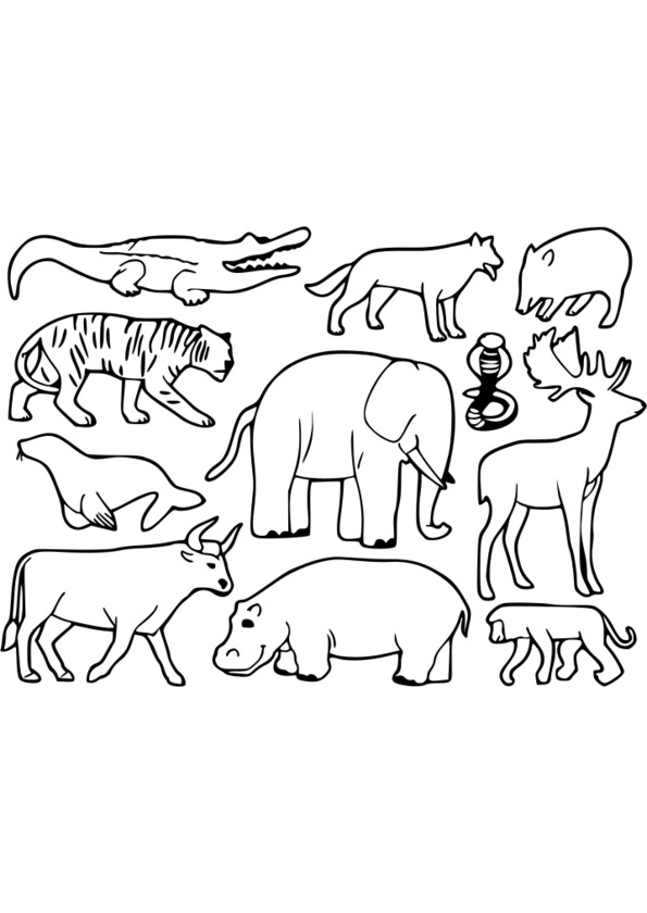 coloriage animaux