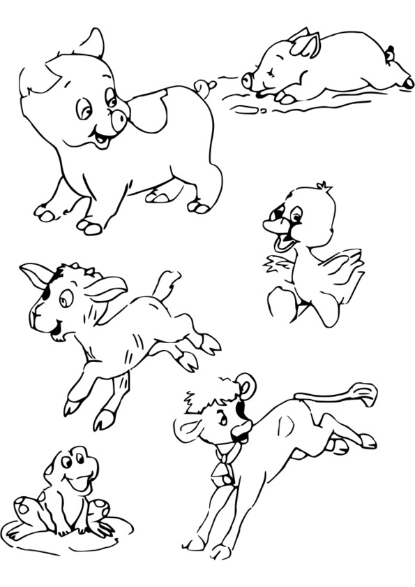 Coloriage Animaux de la ferme TFOU - coloriage animaux de la ferme à imprimer