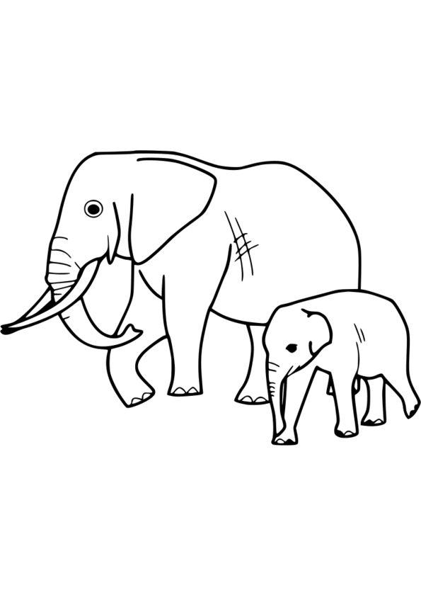 coloriage animaux gratuit en ligne