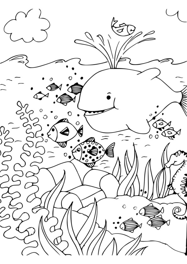 10   Coloriage Animeaux De La Mer