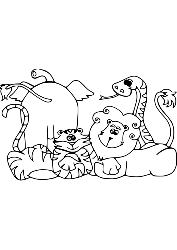 coloriage  dessiner animaux printemps