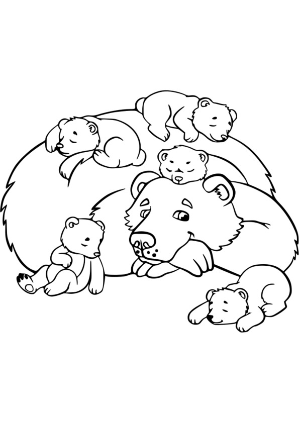 coloriage à dessiner adulte animaux à imprimer