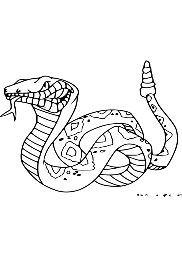 163 Dessins De Coloriage Animaux à Imprimer