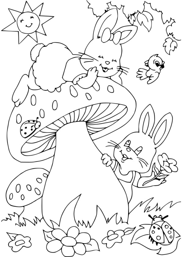 coloriage animaux marins ƒ imprimer