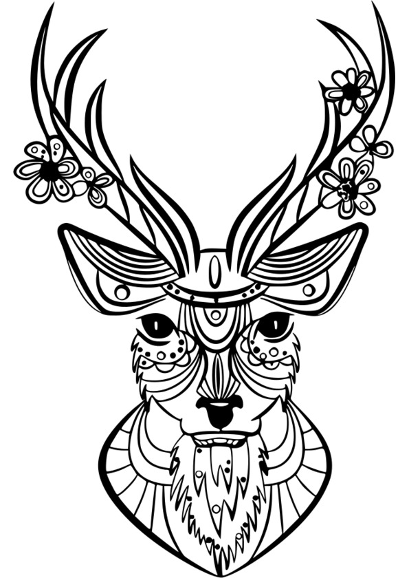 image coloriage  dessiner animaux