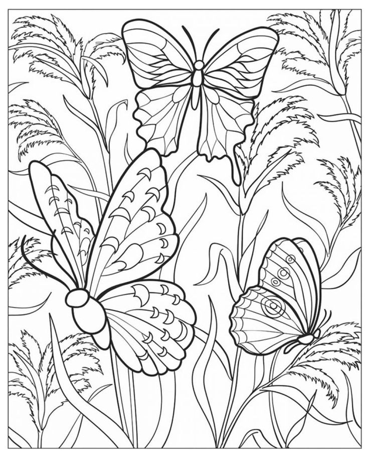 coloriage anti stress