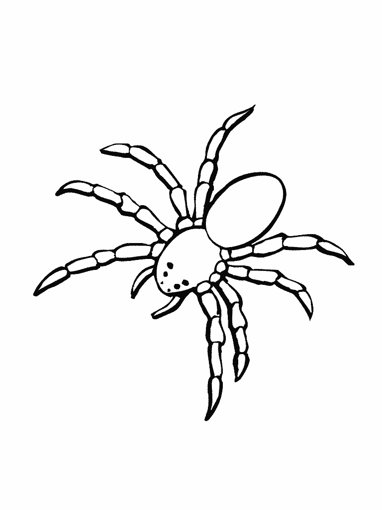 coloriage à dessiner araignée spiderman