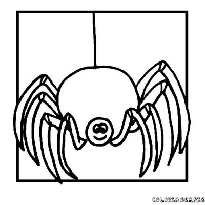 dessin araignée spiderman