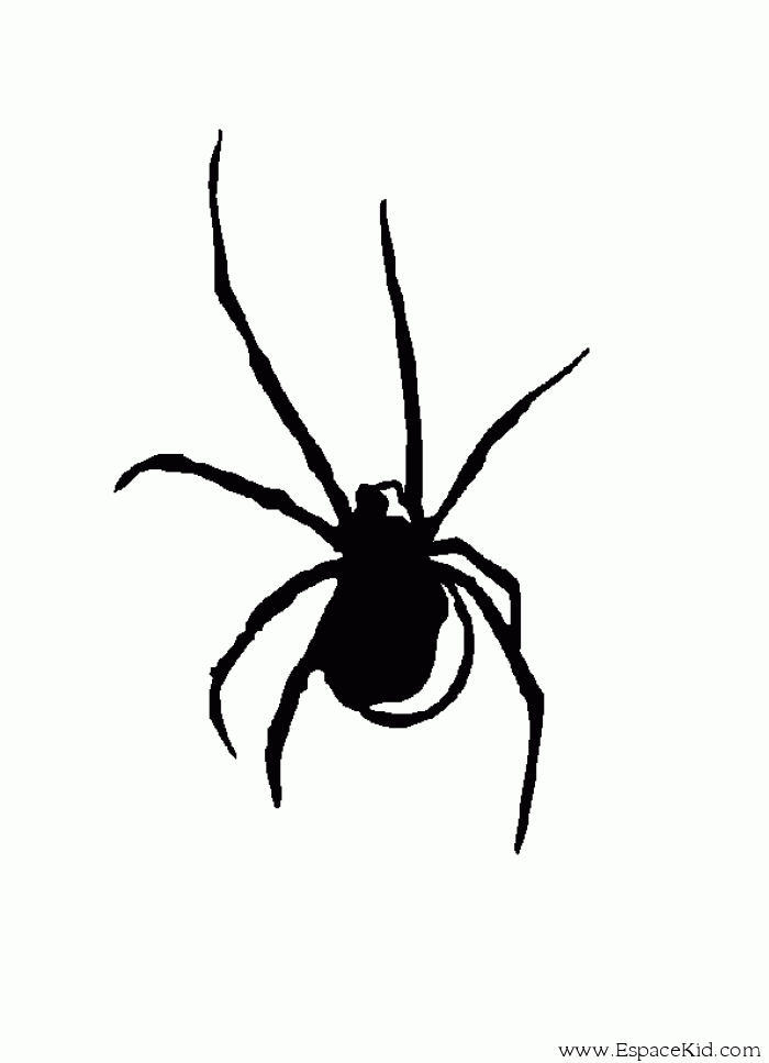 dessin une araignée sur le plancher