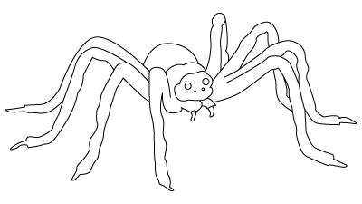 dessin araignée en ligne