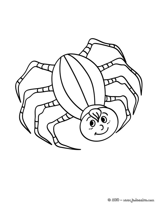 coloriage à dessiner d'araignée pour halloween