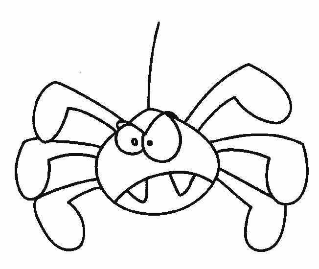 dessin à colorier d'araignée