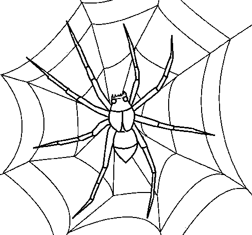 coloriage à dessiner une araignée sur le plancher